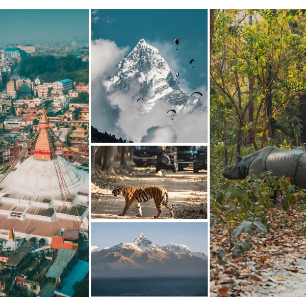 Kathmandu Pokhara Chitwan luxury tour,