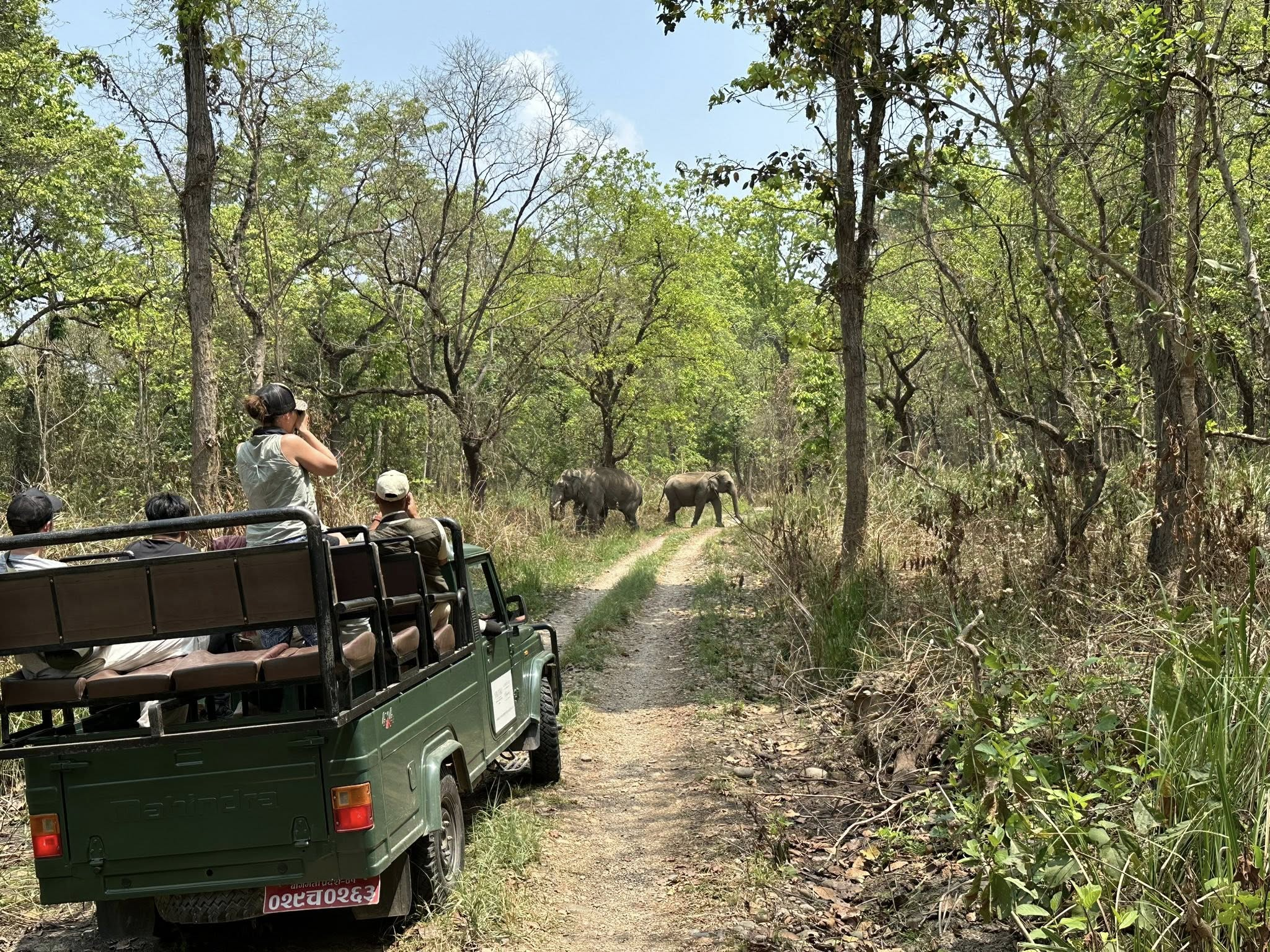 Jugle safari in chitwan